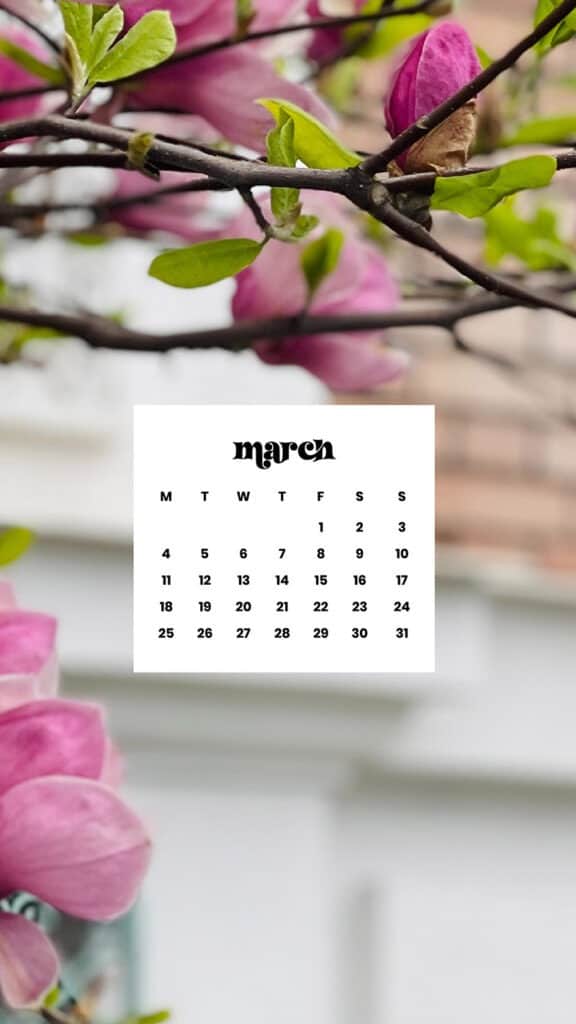 MARCH 2024 WALLPAPERS – 75 FREE PHONE &#038; DESKTOP Options + Women&#8217;s History Month, Oh So Lovely Blog