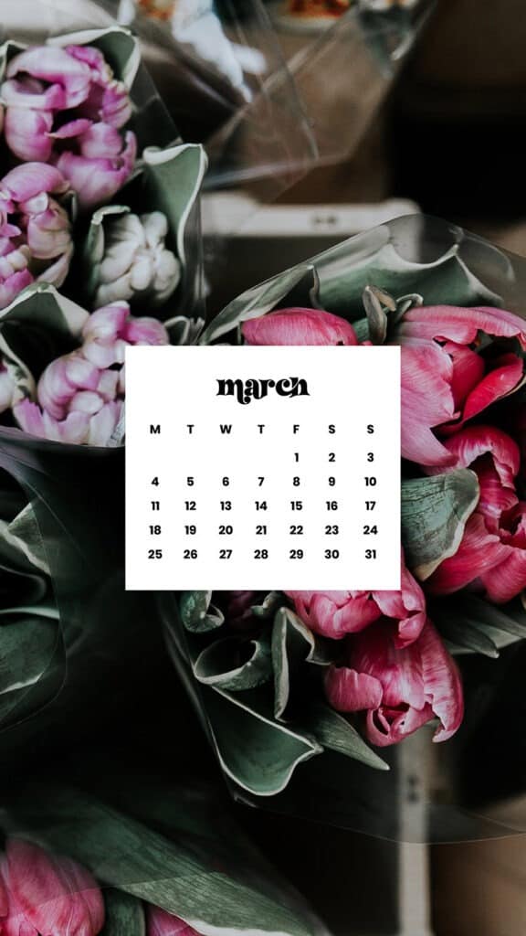 MARCH 2024 WALLPAPERS – 75 FREE PHONE &#038; DESKTOP Options + Women&#8217;s History Month, Oh So Lovely Blog