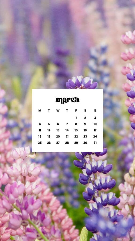 MARCH 2024 WALLPAPERS – 75 FREE PHONE &#038; DESKTOP Options + Women&#8217;s History Month, Oh So Lovely Blog