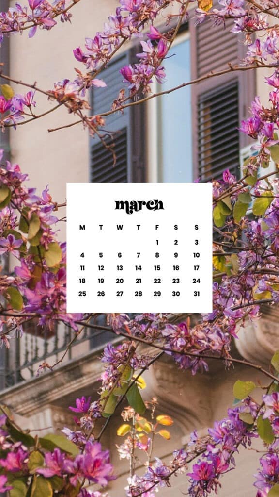 MARCH 2024 WALLPAPERS – 75 FREE PHONE &#038; DESKTOP Options + Women&#8217;s History Month, Oh So Lovely Blog