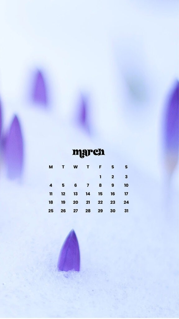 MARCH 2024 WALLPAPERS – 75 FREE PHONE &#038; DESKTOP Options + Women&#8217;s History Month, Oh So Lovely Blog