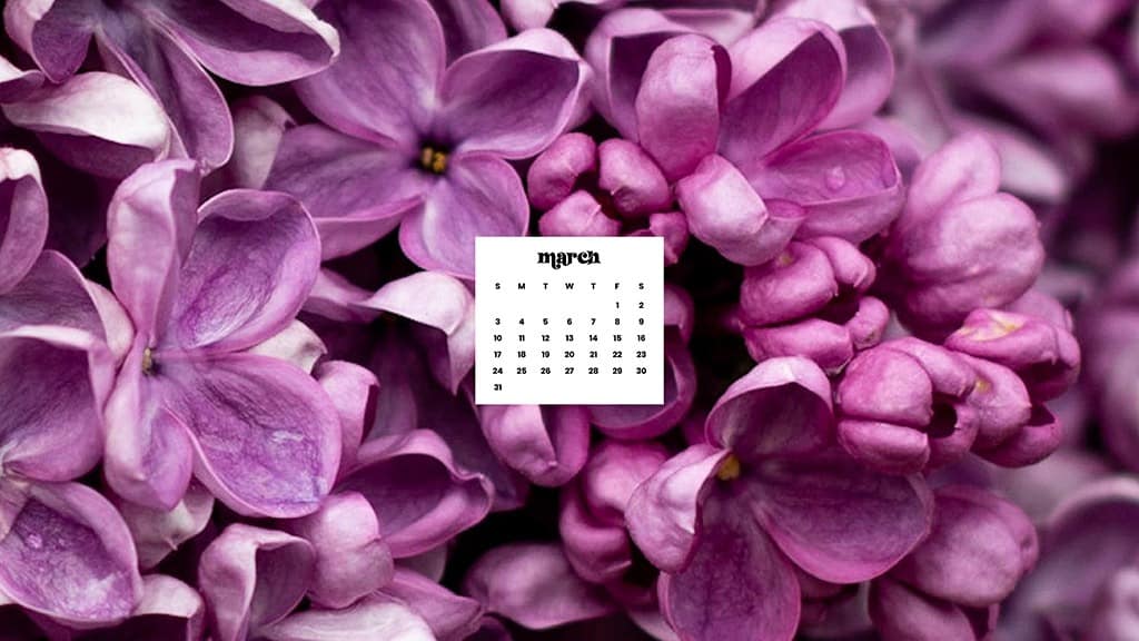 MARCH 2024 WALLPAPERS – 75 FREE PHONE &#038; DESKTOP Options + Women&#8217;s History Month, Oh So Lovely Blog