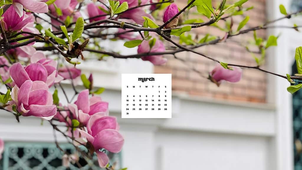 MARCH 2024 WALLPAPERS – 75 FREE PHONE &#038; DESKTOP Options + Women&#8217;s History Month, Oh So Lovely Blog