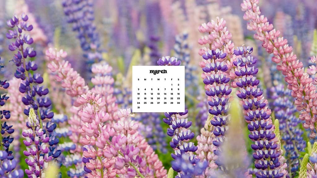 MARCH 2024 WALLPAPERS – 75 FREE PHONE &#038; DESKTOP Options + Women&#8217;s History Month, Oh So Lovely Blog