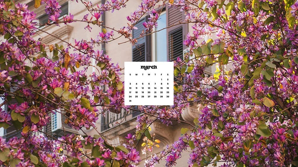 MARCH 2024 WALLPAPERS – 75 FREE PHONE &#038; DESKTOP Options + Women&#8217;s History Month, Oh So Lovely Blog