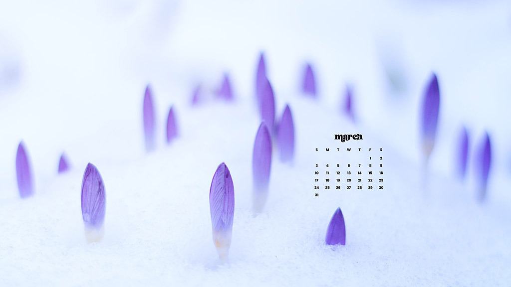 MARCH 2024 WALLPAPERS – 75 FREE PHONE &#038; DESKTOP Options + Women&#8217;s History Month, Oh So Lovely Blog