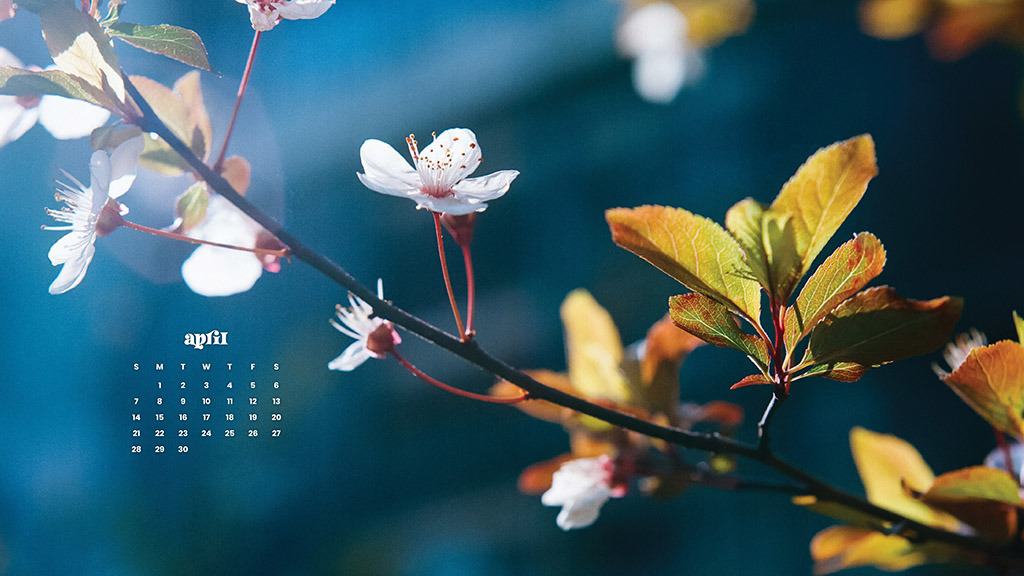 April 2024 Wallpapers – 60 Free Phone &#038; Desktop Calendars!, Oh So Lovely Blog