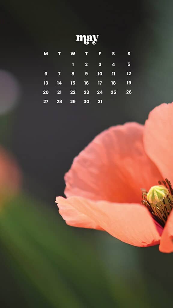 MAY 2024 WALLPAPERS – 60 FREE PHONE &amp; DESKTOP CALENDARS + AAPI &amp; Jewish American heritage month Options, Oh So Lovely Blog