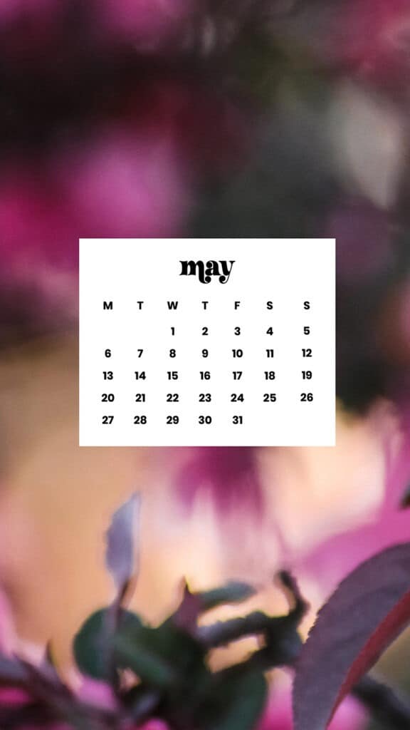 MAY 2024 WALLPAPERS – 60 FREE PHONE &amp; DESKTOP CALENDARS + AAPI &amp; Jewish American heritage month Options, Oh So Lovely Blog