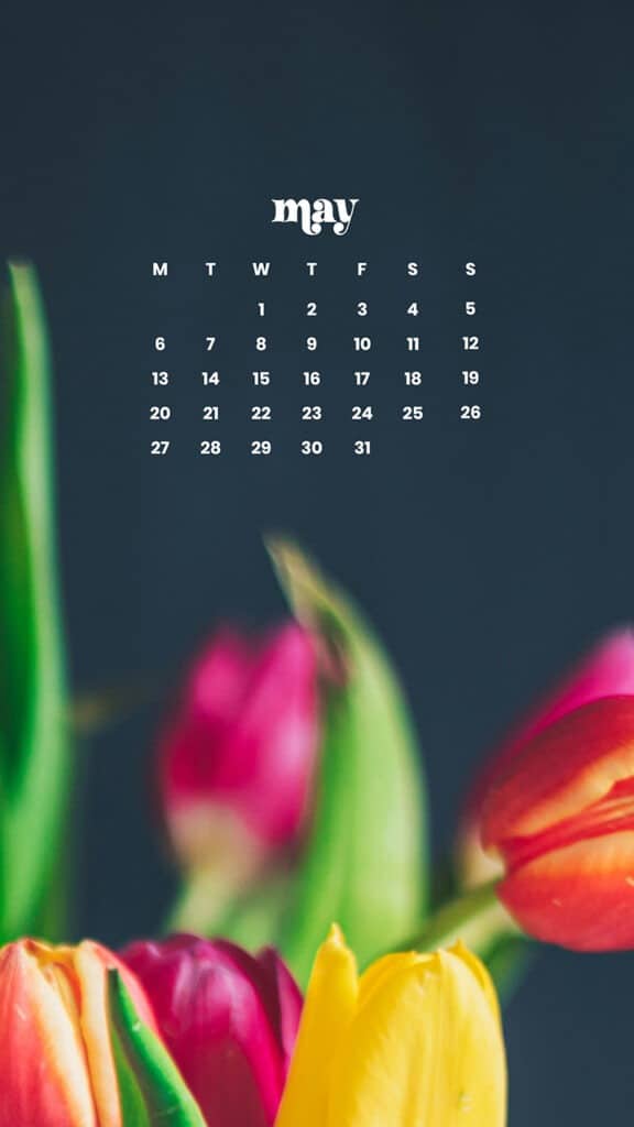 MAY 2024 WALLPAPERS – 60 FREE PHONE &amp; DESKTOP CALENDARS + AAPI &amp; Jewish American heritage month Options, Oh So Lovely Blog