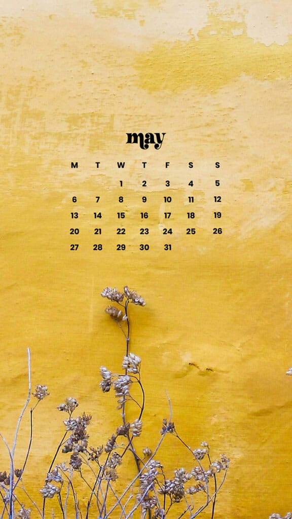 MAY 2024 WALLPAPERS – 60 FREE PHONE &amp; DESKTOP CALENDARS + AAPI &amp; Jewish American heritage month Options, Oh So Lovely Blog