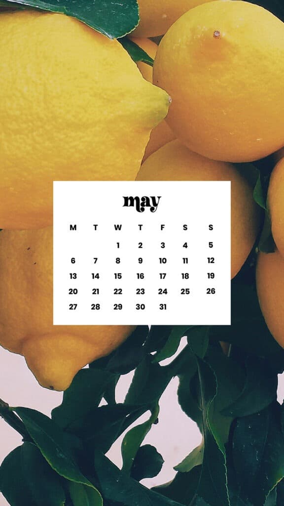 MAY 2024 WALLPAPERS – 60 FREE PHONE &amp; DESKTOP CALENDARS + AAPI &amp; Jewish American heritage month Options, Oh So Lovely Blog