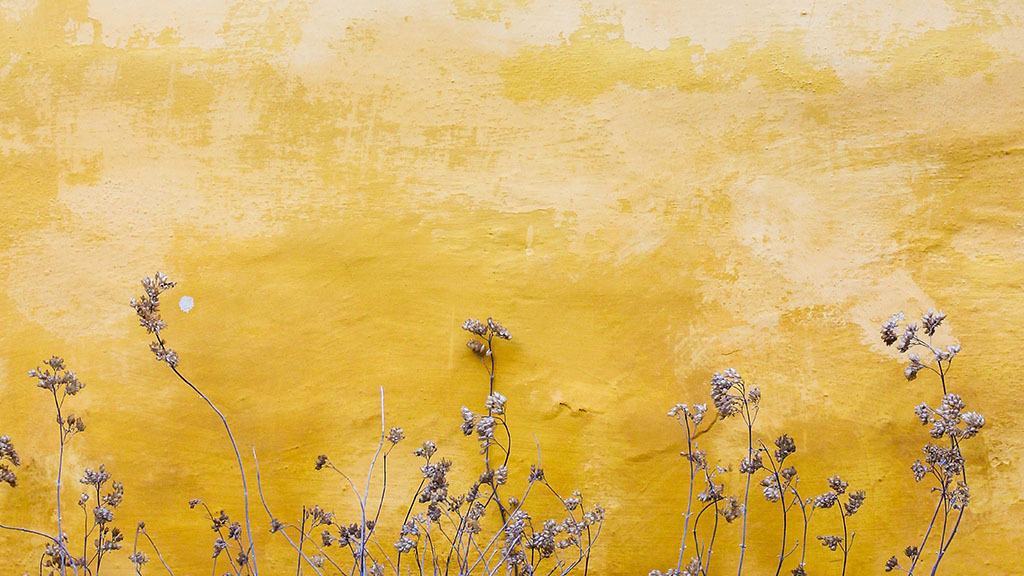MAY 2024 WALLPAPERS – 60 FREE PHONE &amp; DESKTOP CALENDARS + AAPI &amp; Jewish American heritage month Options, Oh So Lovely Blog