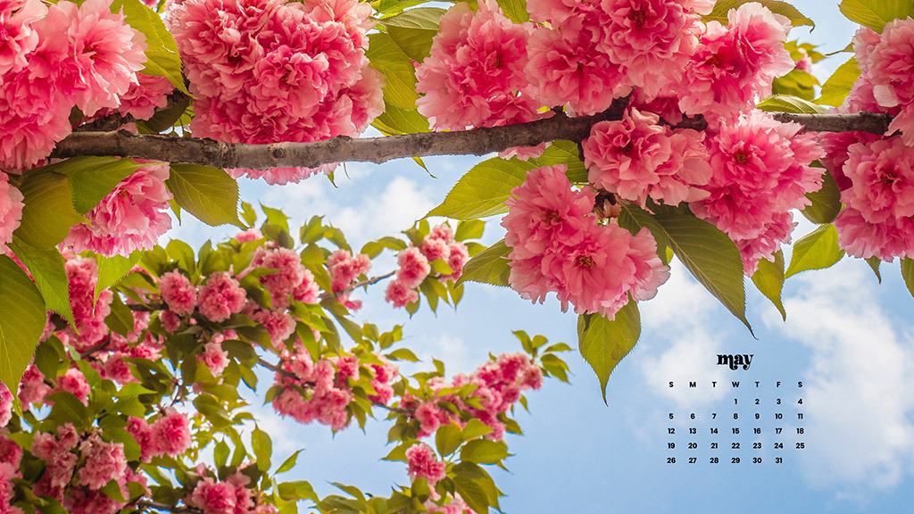 MAY 2024 WALLPAPERS – 60 FREE PHONE &amp; DESKTOP CALENDARS + AAPI &amp; Jewish American heritage month Options, Oh So Lovely Blog