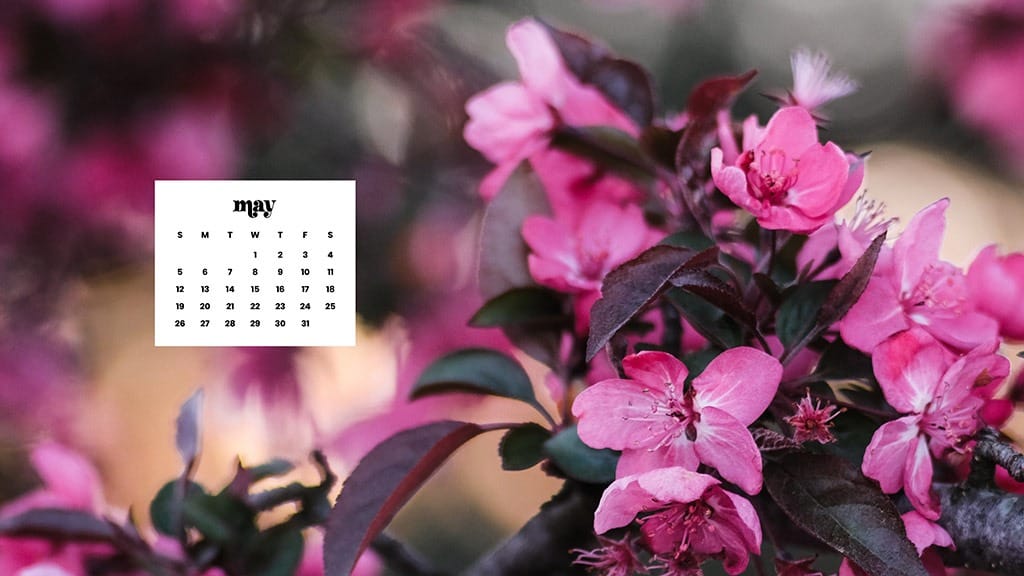 MAY 2024 WALLPAPERS – 60 FREE PHONE &amp; DESKTOP CALENDARS + AAPI &amp; Jewish American heritage month Options, Oh So Lovely Blog