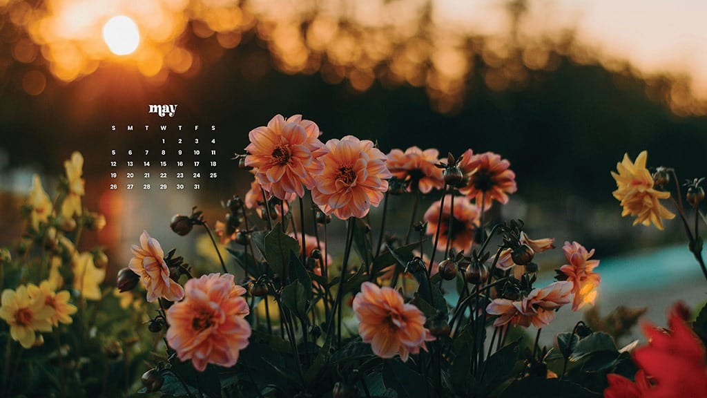 MAY 2024 WALLPAPERS – 60 FREE PHONE &amp; DESKTOP CALENDARS + AAPI &amp; Jewish American heritage month Options, Oh So Lovely Blog