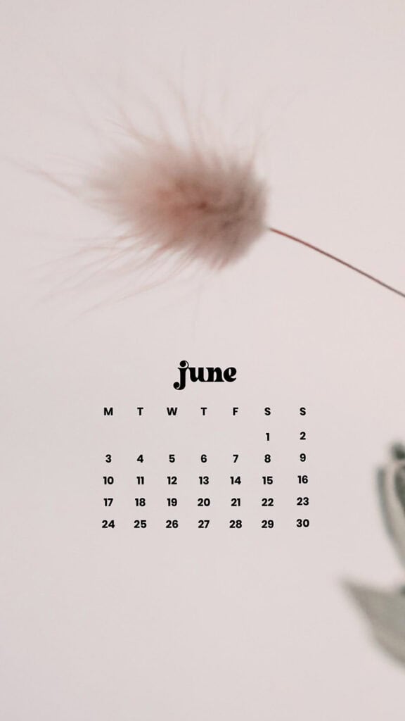 June 2024 Wallpapers – 60 free phone &#038; desktop calendars &#038; LGBTQA+ Pride Month, Oh So Lovely Blog