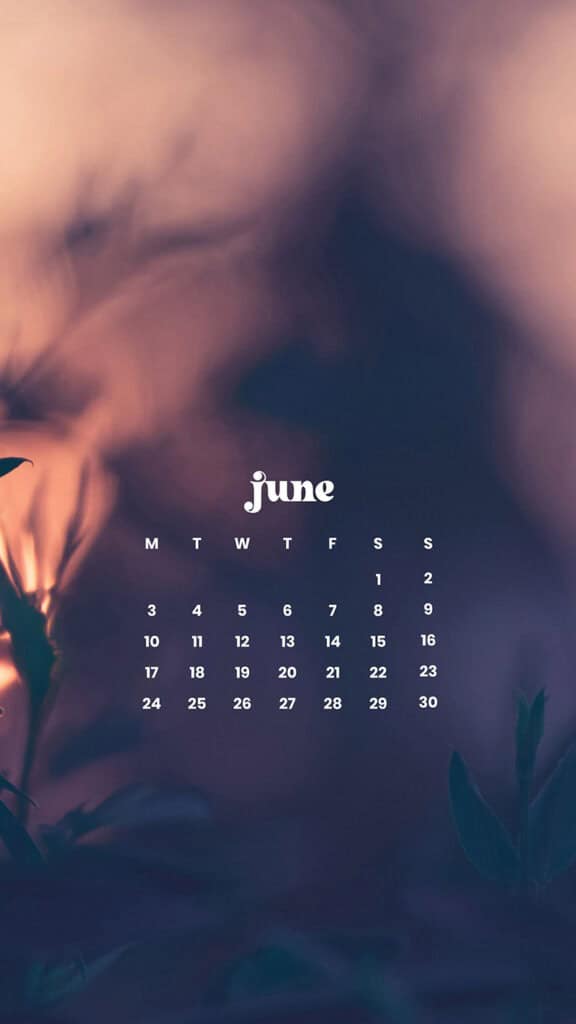 June 2024 Wallpapers – 60 free phone &#038; desktop calendars &#038; LGBTQA+ Pride Month, Oh So Lovely Blog