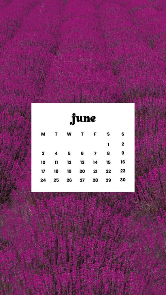 June 2024 Wallpapers – 60 free phone &#038; desktop calendars &#038; LGBTQA+ Pride Month, Oh So Lovely Blog