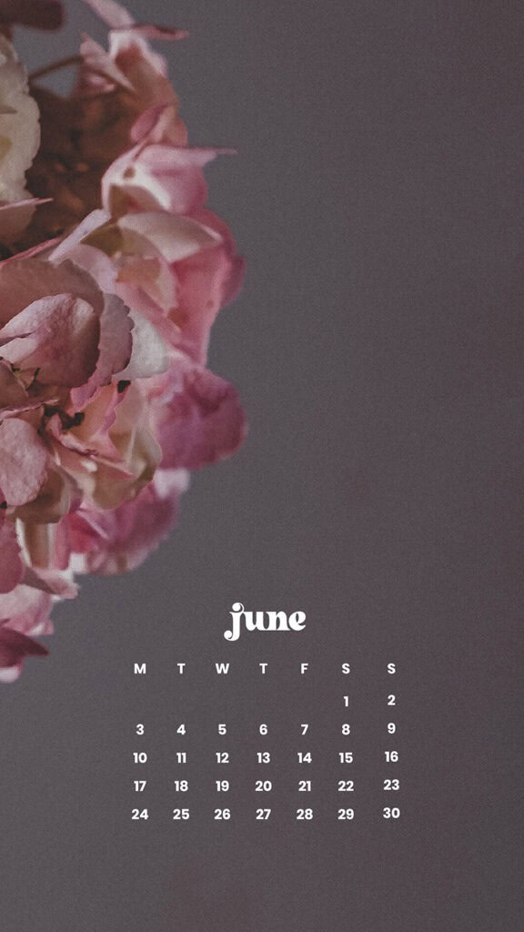 June 2024 Wallpapers – 60 free phone &#038; desktop calendars &#038; LGBTQA+ Pride Month, Oh So Lovely Blog