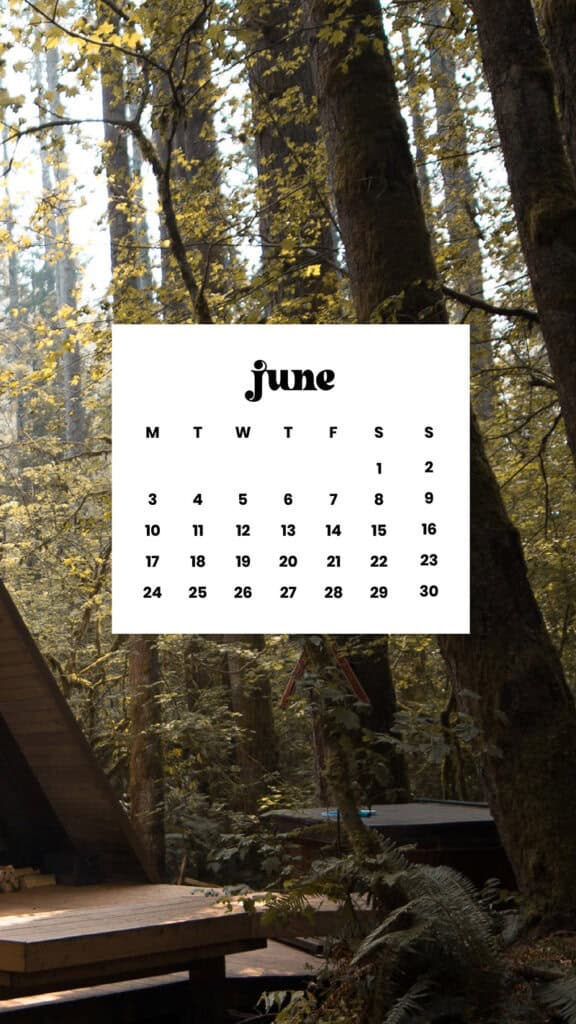 June 2024 Wallpapers – 60 free phone &#038; desktop calendars &#038; LGBTQA+ Pride Month, Oh So Lovely Blog
