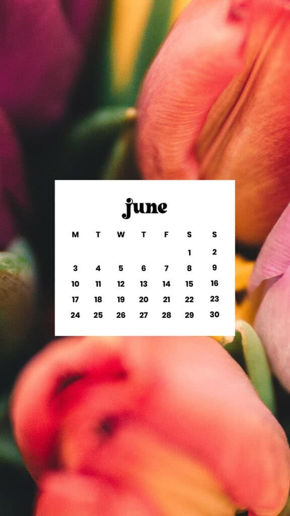 June 2024 Wallpapers – 60 free phone &#038; desktop calendars &#038; LGBTQA+ Pride Month, Oh So Lovely Blog