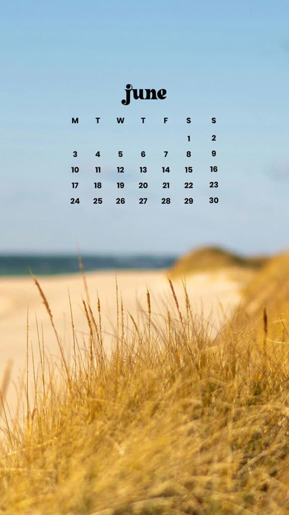 June 2024 Wallpapers – 60 free phone &#038; desktop calendars &#038; LGBTQA+ Pride Month, Oh So Lovely Blog