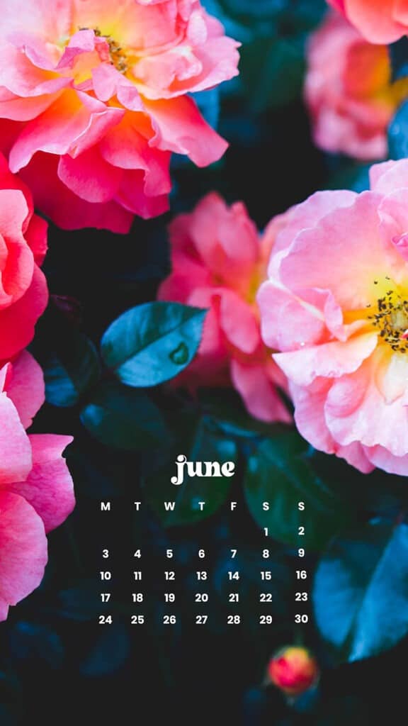 June 2024 Wallpapers – 60 free phone &#038; desktop calendars &#038; LGBTQA+ Pride Month, Oh So Lovely Blog