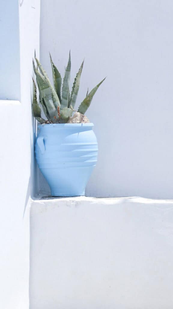 June 2024 Wallpapers – 60 free phone &#038; desktop calendars &#038; LGBTQA+ Pride Month, Oh So Lovely Blog