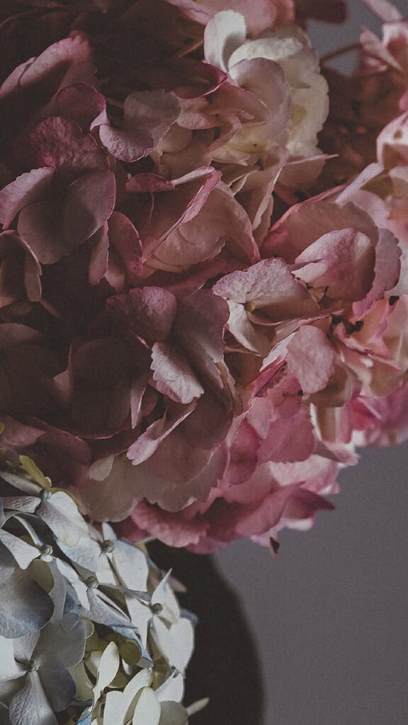 June 2024 Wallpapers – 60 free phone &#038; desktop calendars &#038; LGBTQA+ Pride Month, Oh So Lovely Blog