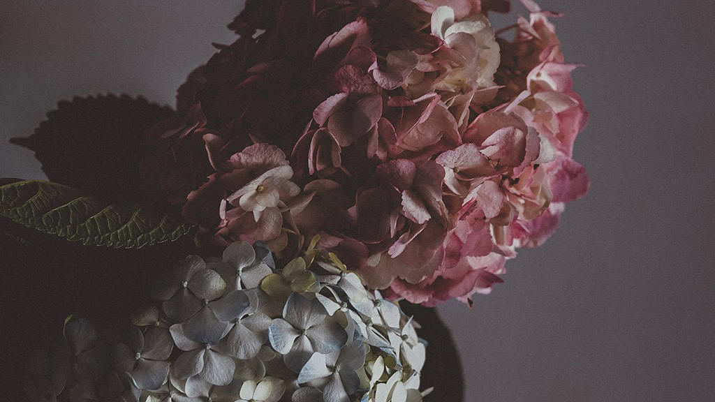 June 2024 Wallpapers – 60 free phone &#038; desktop calendars &#038; LGBTQA+ Pride Month, Oh So Lovely Blog
