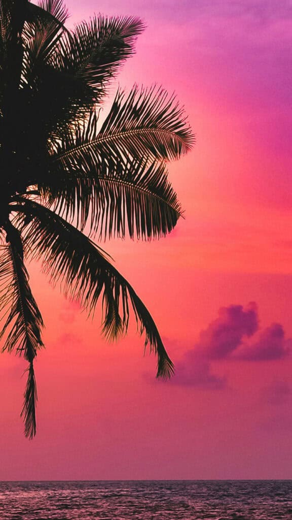 June 2024 Wallpapers – 60 free phone &#038; desktop calendars &#038; LGBTQA+ Pride Month, Oh So Lovely Blog