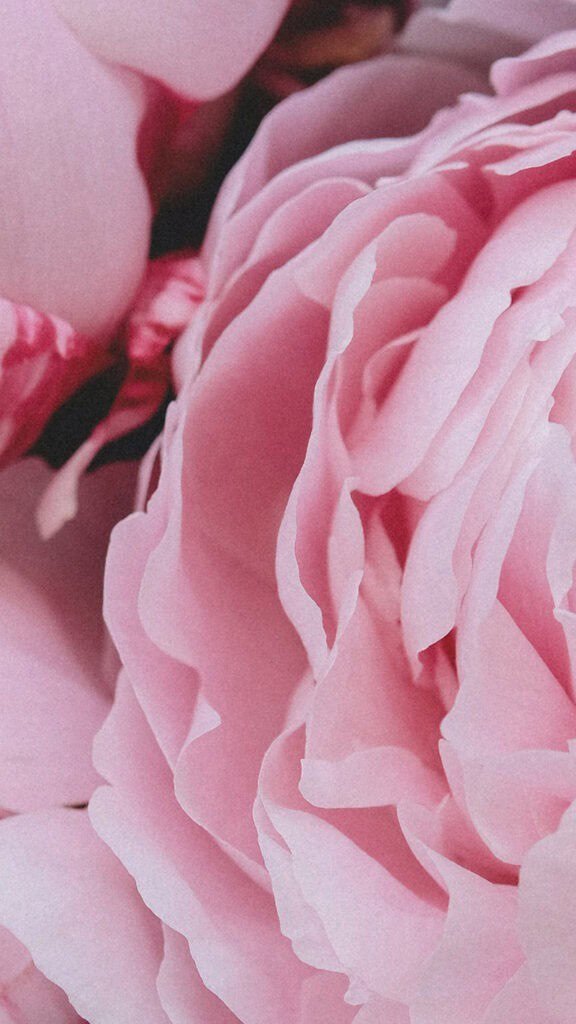 June 2024 Wallpapers – 60 free phone &#038; desktop calendars &#038; LGBTQA+ Pride Month, Oh So Lovely Blog