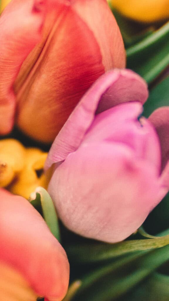 June 2024 Wallpapers – 60 free phone &#038; desktop calendars &#038; LGBTQA+ Pride Month, Oh So Lovely Blog