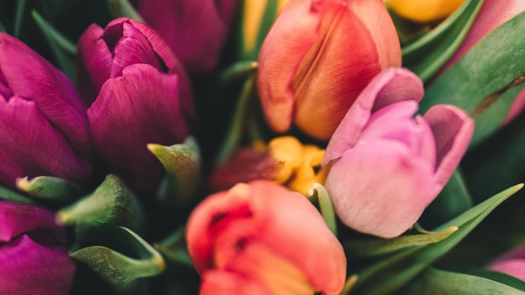 June 2024 Wallpapers – 60 free phone &#038; desktop calendars &#038; LGBTQA+ Pride Month, Oh So Lovely Blog