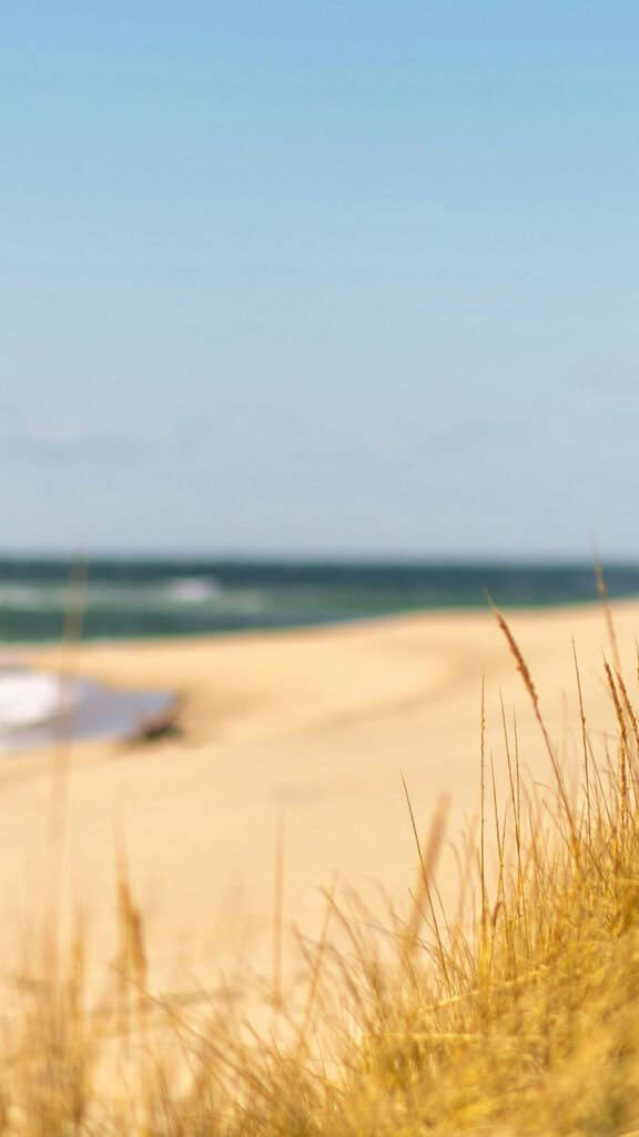 June 2024 Wallpapers – 60 free phone &#038; desktop calendars &#038; LGBTQA+ Pride Month, Oh So Lovely Blog