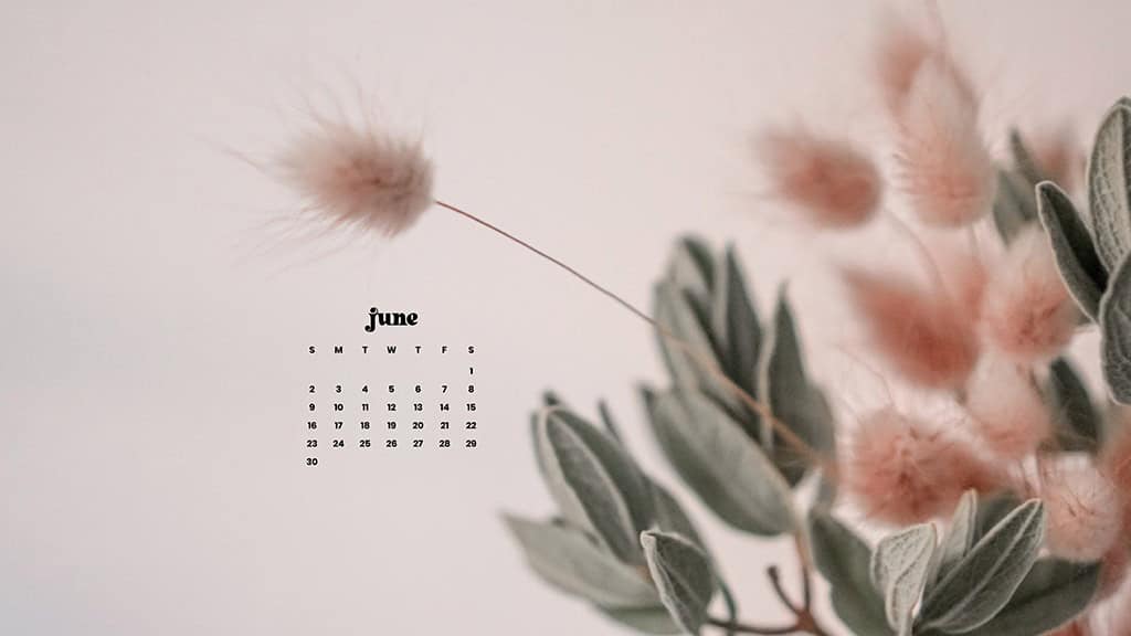 June 2024 Wallpapers – 60 free phone &#038; desktop calendars &#038; LGBTQA+ Pride Month, Oh So Lovely Blog