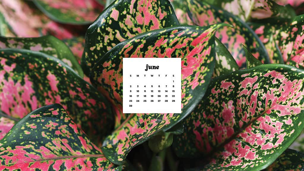 June 2024 Wallpapers – 60 free phone &#038; desktop calendars &#038; LGBTQA+ Pride Month, Oh So Lovely Blog
