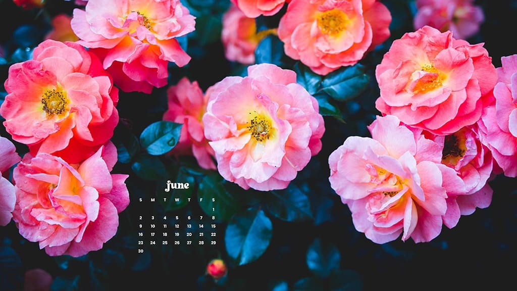 June 2024 Wallpapers – 60 free phone &#038; desktop calendars &#038; LGBTQA+ Pride Month, Oh So Lovely Blog