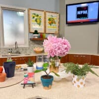 TV SEGMENTS, Oh So Lovely Blog