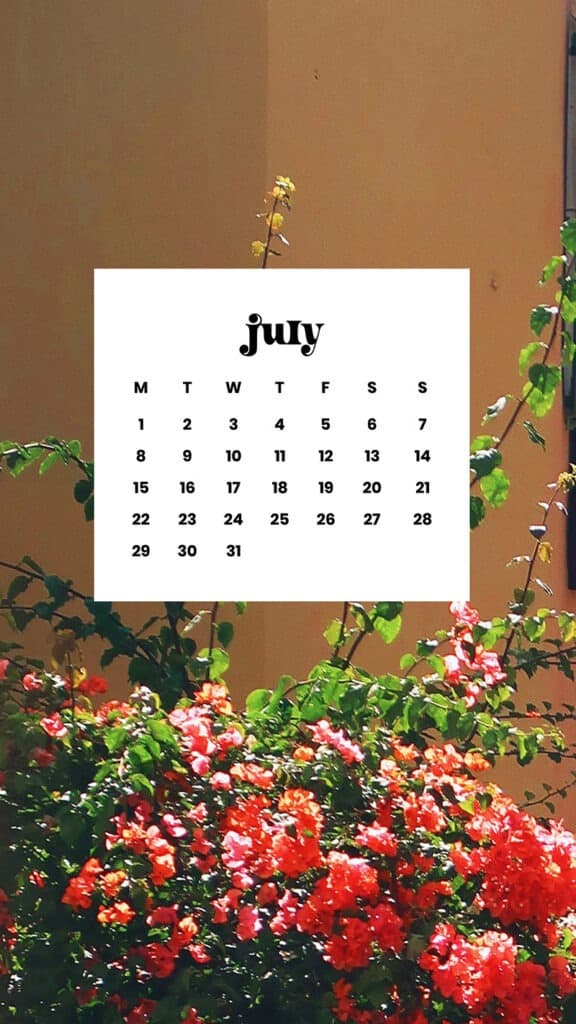 July 2024 Wallpapers – 60 Free Phone &#038; Desktop Calendars + Disability Pride, Oh So Lovely Blog
