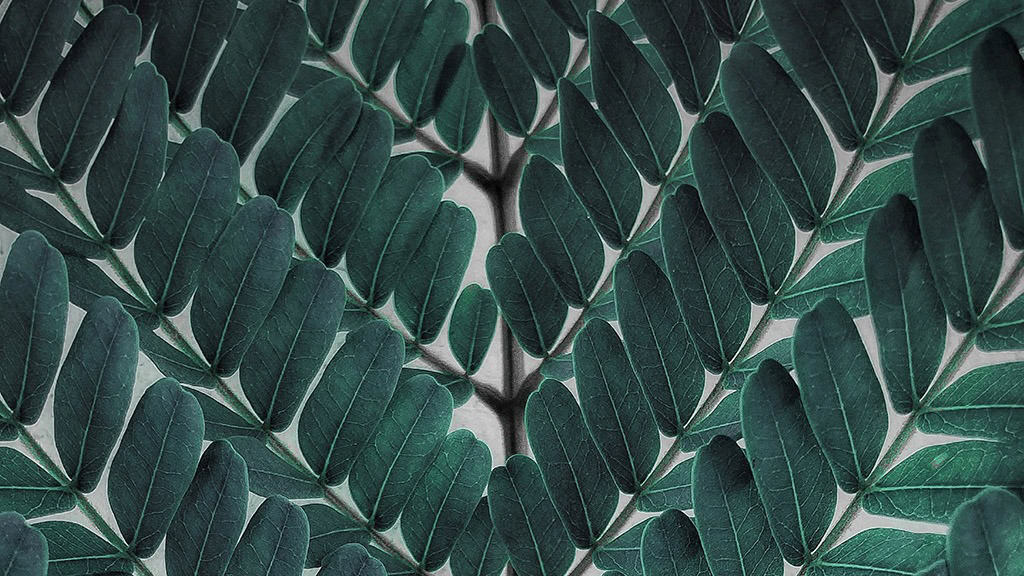July 2024 Wallpapers – 60 Free Phone &#038; Desktop Calendars + Disability Pride, Oh So Lovely Blog