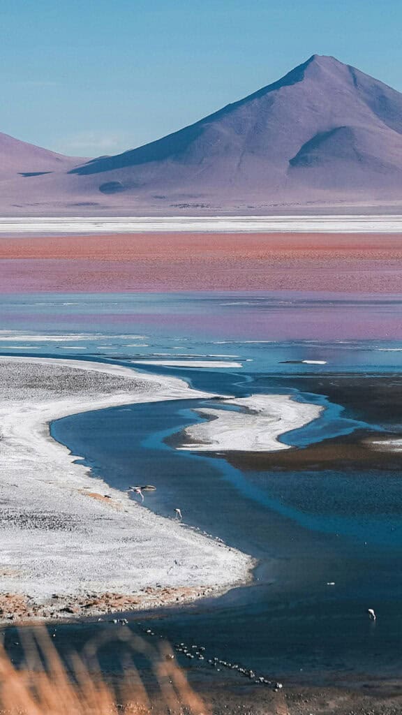 July 2024 Wallpapers – 60 Free Phone &#038; Desktop Calendars + Disability Pride, Oh So Lovely Blog