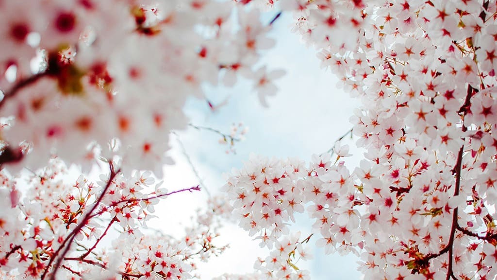 July 2024 Wallpapers – 60 Free Phone &#038; Desktop Calendars + Disability Pride, Oh So Lovely Blog