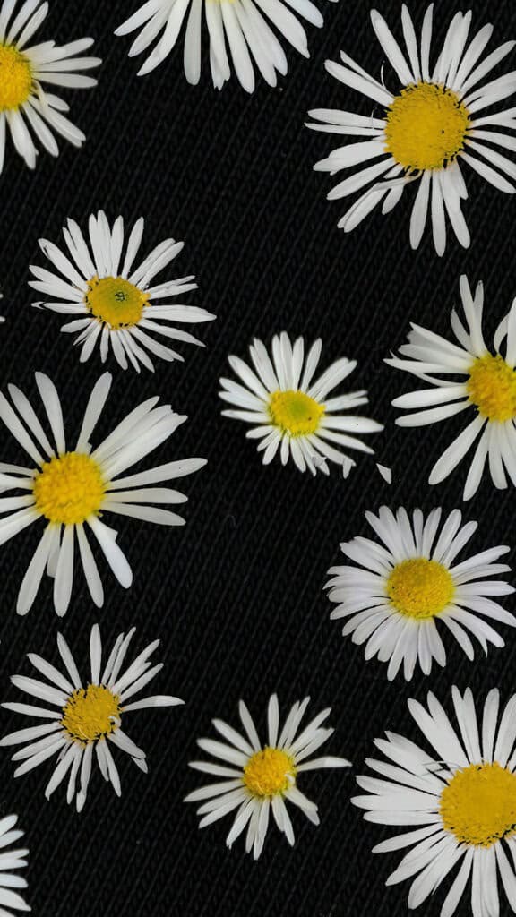July 2024 Wallpapers – 60 Free Phone &#038; Desktop Calendars + Disability Pride, Oh So Lovely Blog