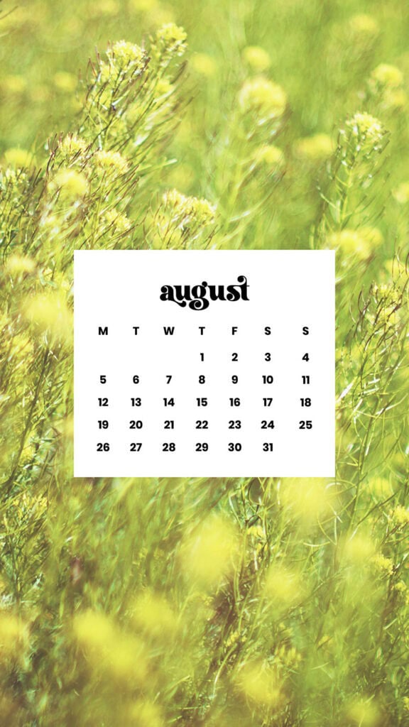 AUGUST 2024 WALLPAPERS – 54 FREE PHONE &amp; DESKTOP CALENDARS!, Oh So Lovely Blog