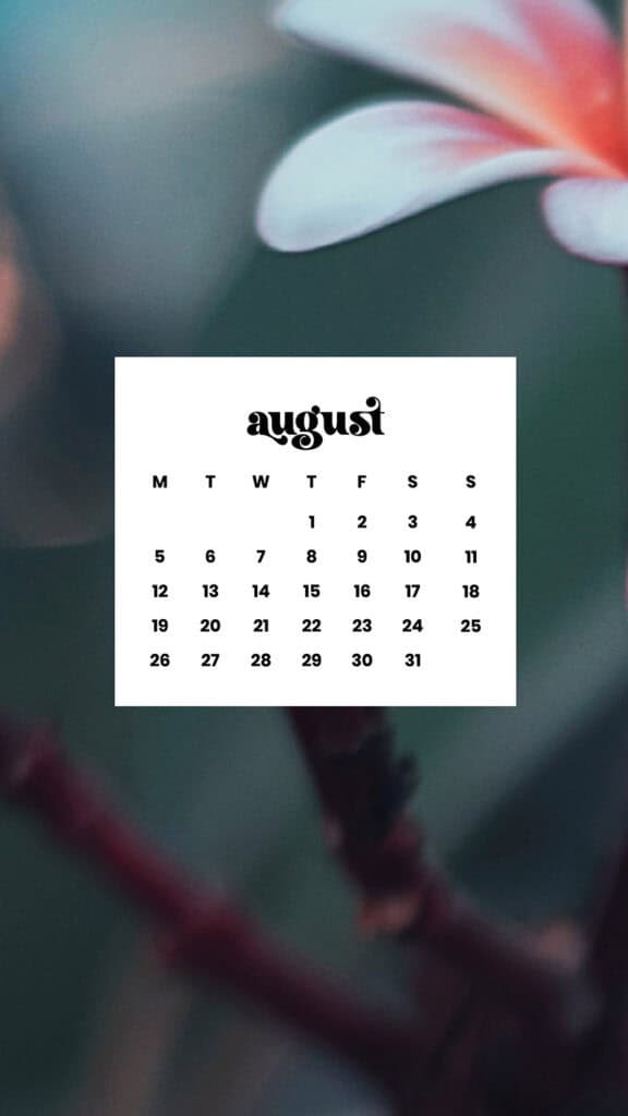 AUGUST 2024 WALLPAPERS – 54 FREE PHONE &amp; DESKTOP CALENDARS!, Oh So Lovely Blog