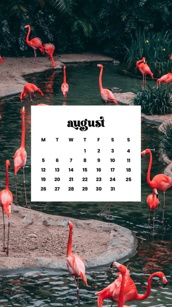 AUGUST 2024 WALLPAPERS – 54 FREE PHONE &amp; DESKTOP CALENDARS!, Oh So Lovely Blog
