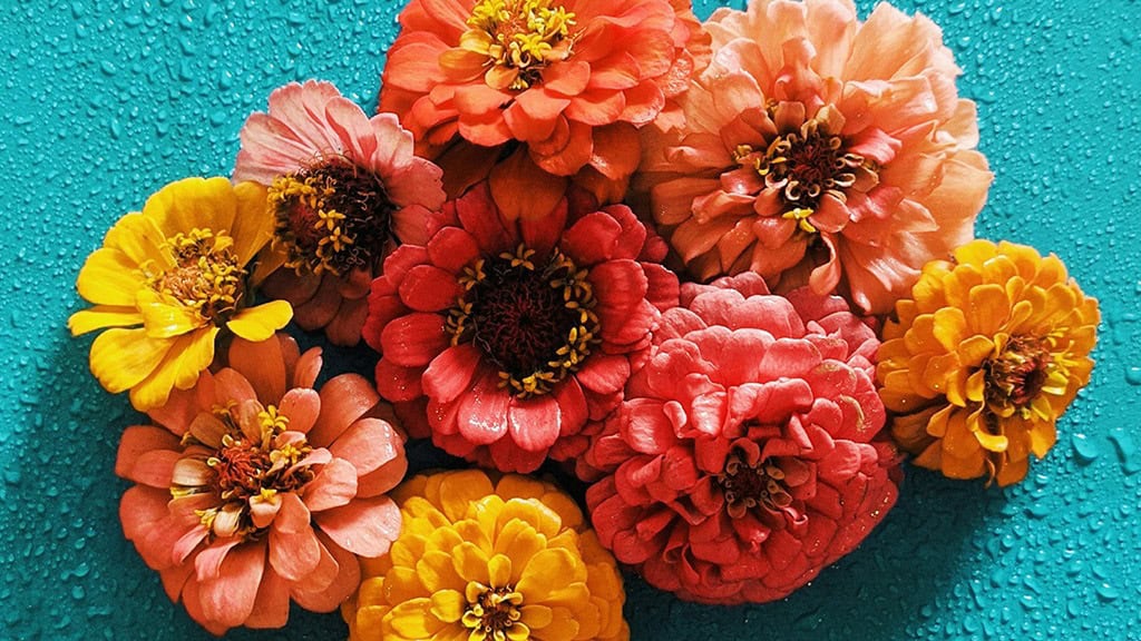 AUGUST 2024 WALLPAPERS – 54 FREE PHONE &amp; DESKTOP CALENDARS!, Oh So Lovely Blog