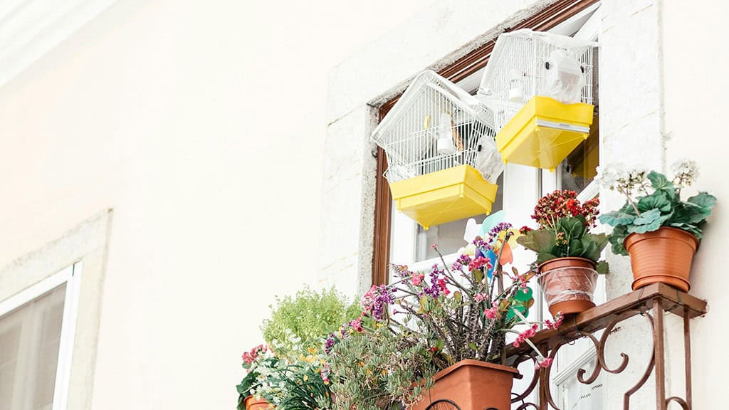 AUGUST 2024 WALLPAPERS – 54 FREE PHONE &amp; DESKTOP CALENDARS!, Oh So Lovely Blog
